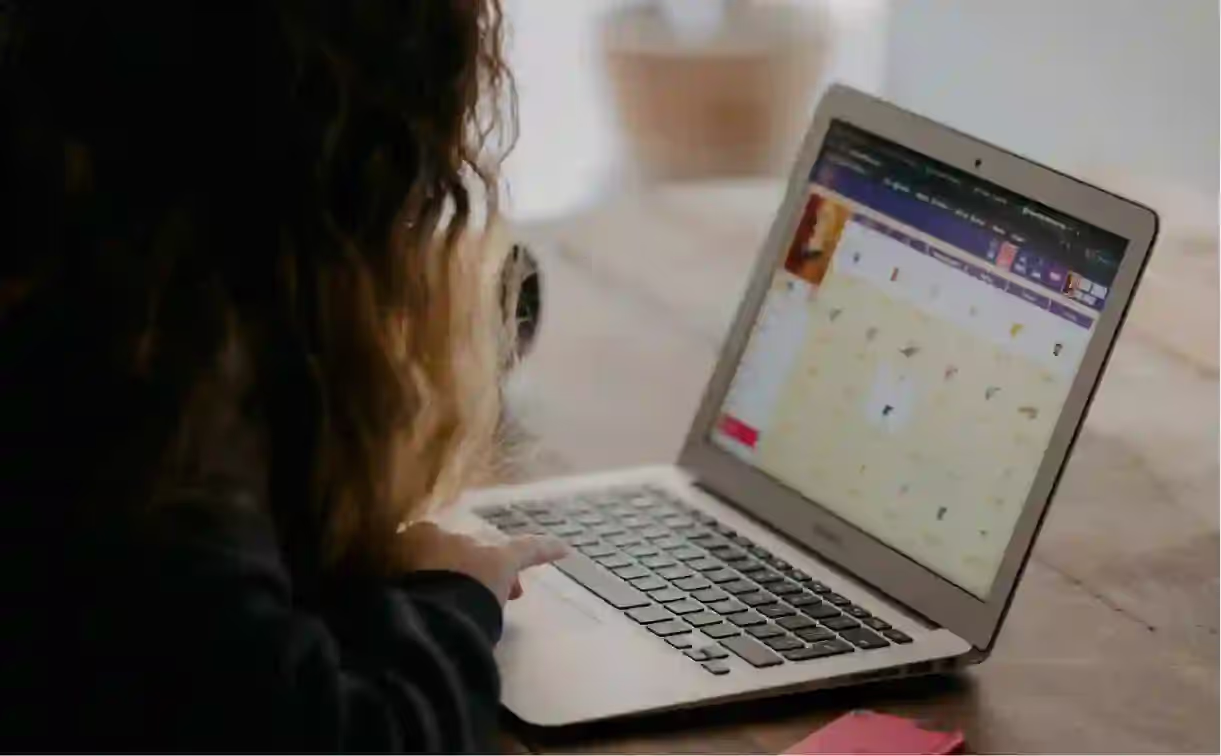 Learning Style Adaptation